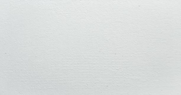 istock Grungy painted wall texture as background. Cracked concrete vintage wall background, old white painted wall. Background washed painting. 934655012