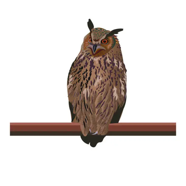 Vector illustration of Eagle-owl bird