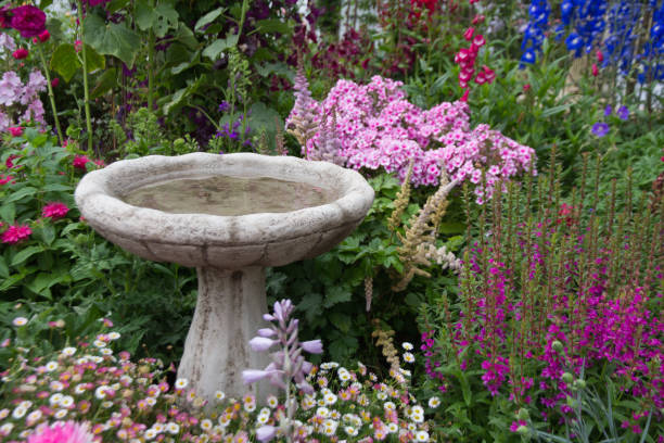 bagno di uccelli circondato da fiori - birdbath foto e immagini stock