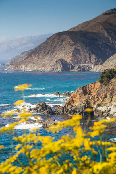 istock Big Sur, California Central Coast, USA 934670412