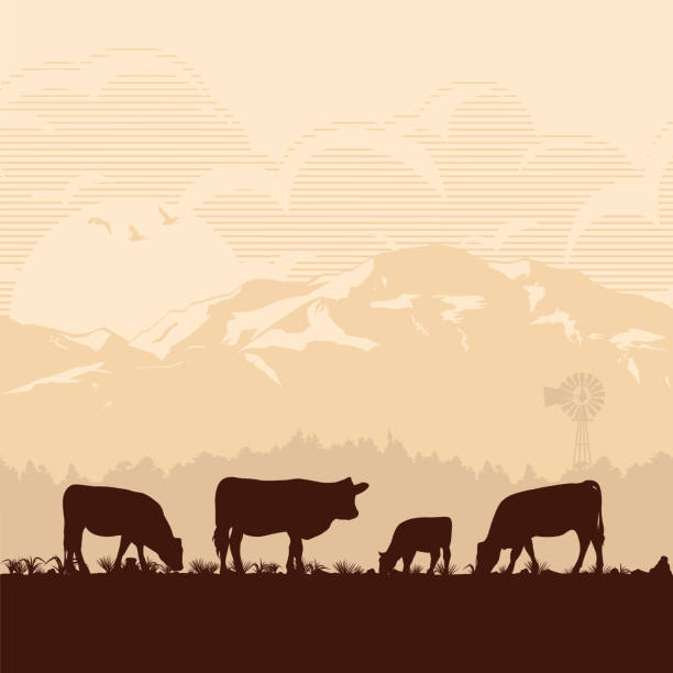 ilustrações de stock, clip art, desenhos animados e ícones de silhouette of cattle in countryside, vector illustration - livestock market