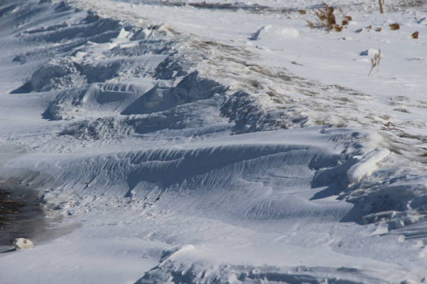 istock Snow dunes in the field / Shadows in the snow / 934673304