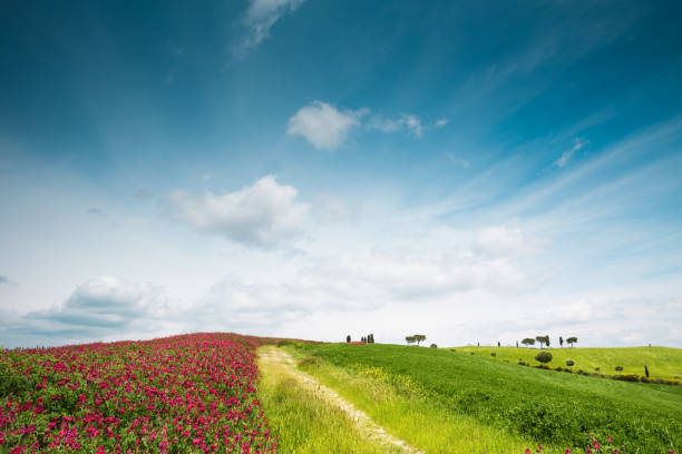 istock Colorful Tuscany Landscape 934673508