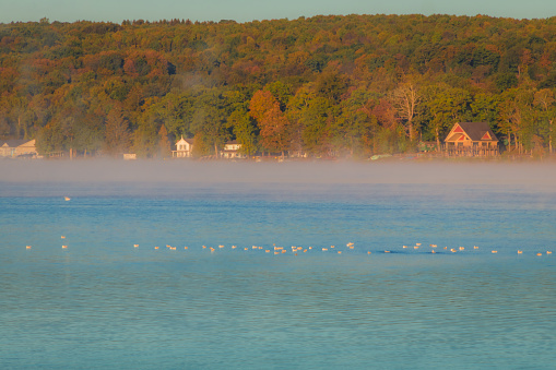 Morning fog lifts on a calm lake to reveal countryside colors in early autumn at Silver Lake, Castile, NY