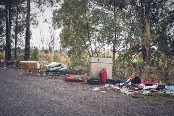 istock Garbage left at the side of the road 934676420
