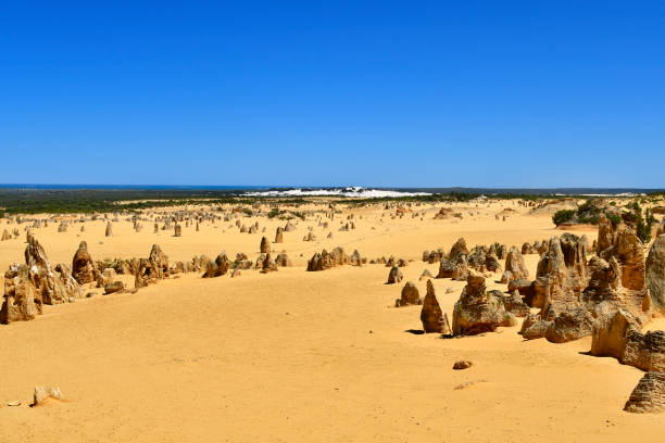 istock Australia, WA, The Pinnacles 934679180