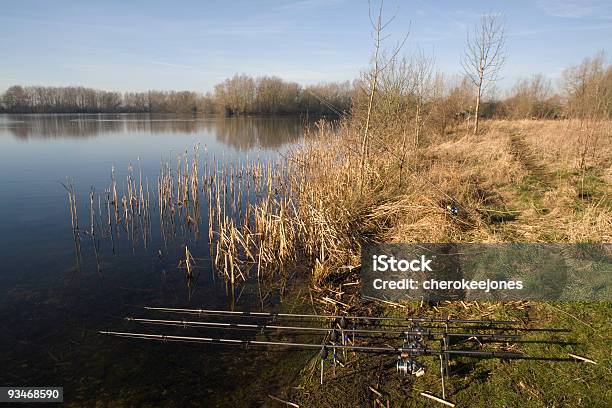 Canas De Pesca No Lago - Fotografias de stock e mais imagens de Atividade Recreativa - Atividade Recreativa, Cana de Pesca, Captura de Peixe