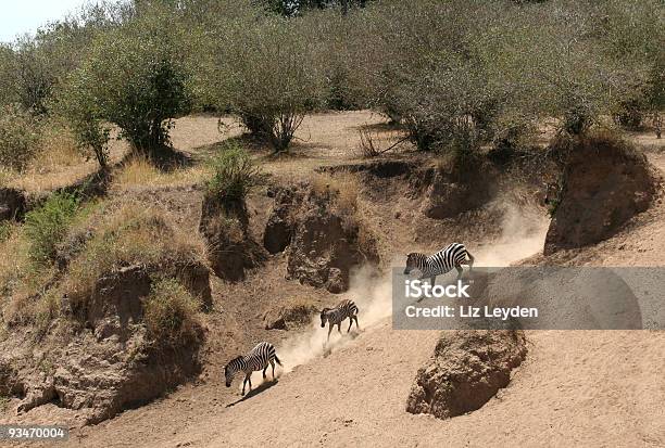 Dusty Descent Stock Photo - Download Image Now - Africa, Animal, Animal Behavior
