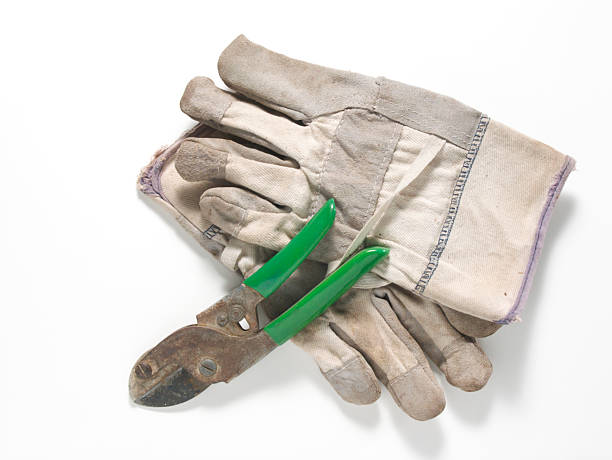 istock gloves and gardening scissors 93470509