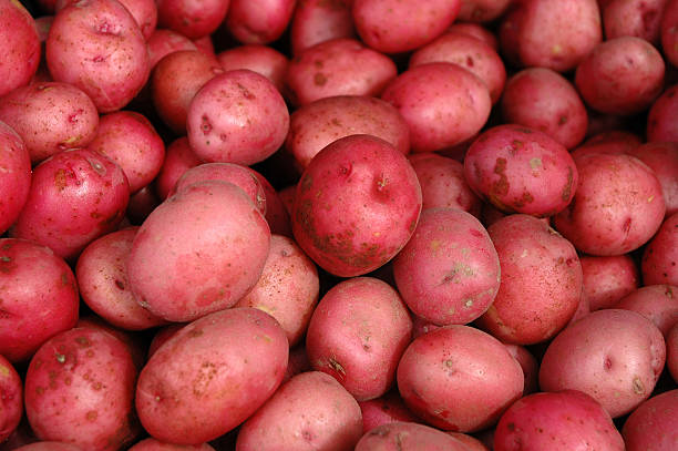 красный картофель - red potato raw potato market red стоковые фото и изображения