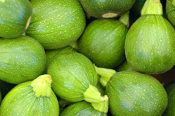 verano de squash - agricultural fair farmers market squash market fotografías e imágenes de stock