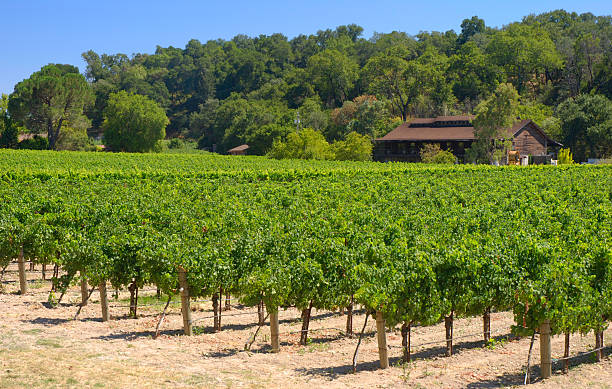 napa – weingut - california napa valley vineyard farmhouse stock-fotos und bilder