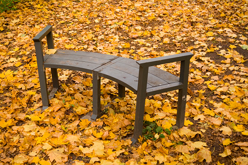 A Picnic table next to a river that is covered in maple leaves in Fall. Tree is just in frame and it is a cloud day