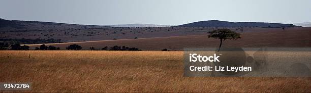 Paesaggio Africano - Fotografie stock e altre immagini di Acacia - Acacia, Africa, Africa orientale