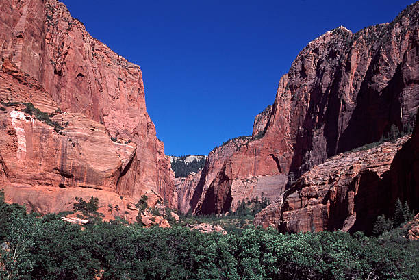 istock Sandstone Gorge, Zion NP, Utah 93472840