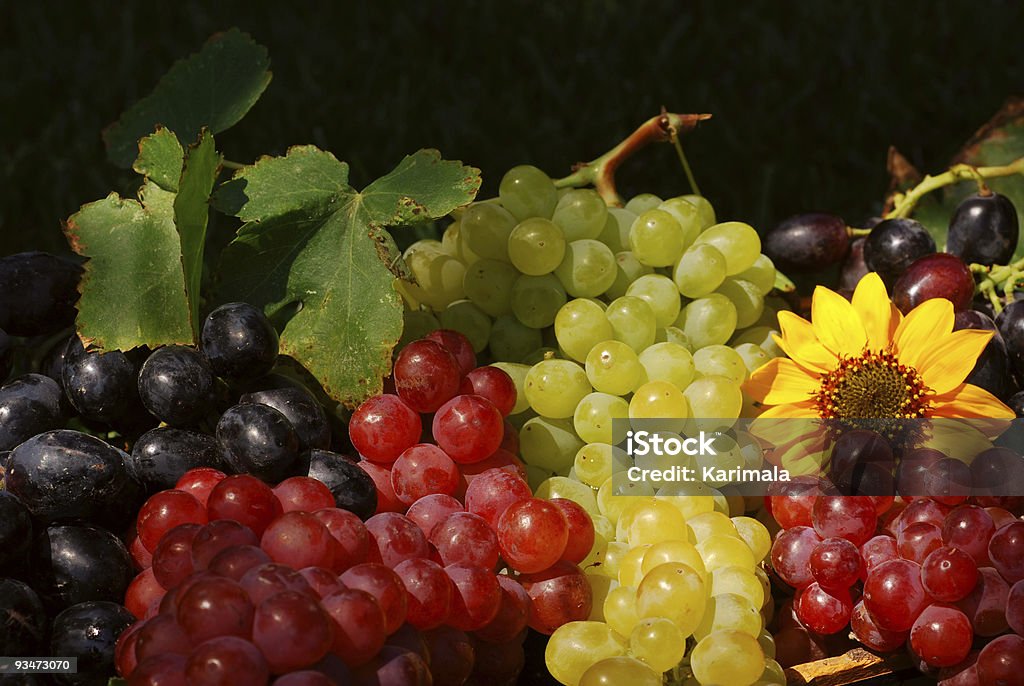 Raisin Vintage boîte de fruits - Photo de Agriculture libre de droits