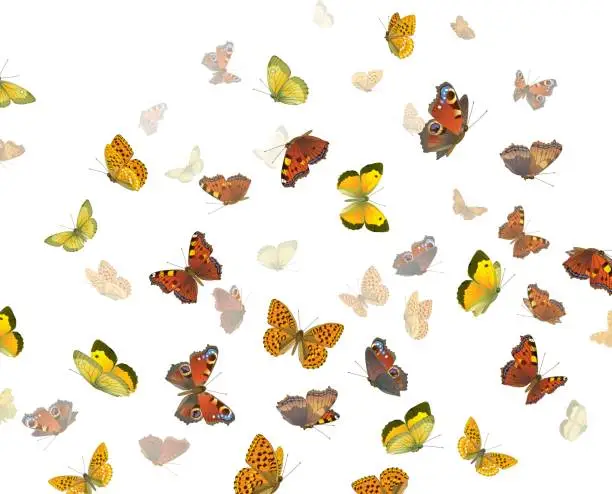 Vector illustration of Photo of red, orange, and yellow butterflies
