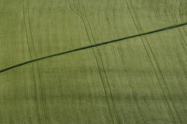 green field con público a la derecha de manera - crop buckinghamshire hill pasture fotografías e imágenes de stock
