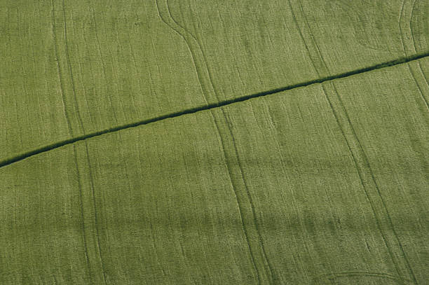 campo verde con public diritto di passaggio - crop buckinghamshire hill pasture foto e immagini stock