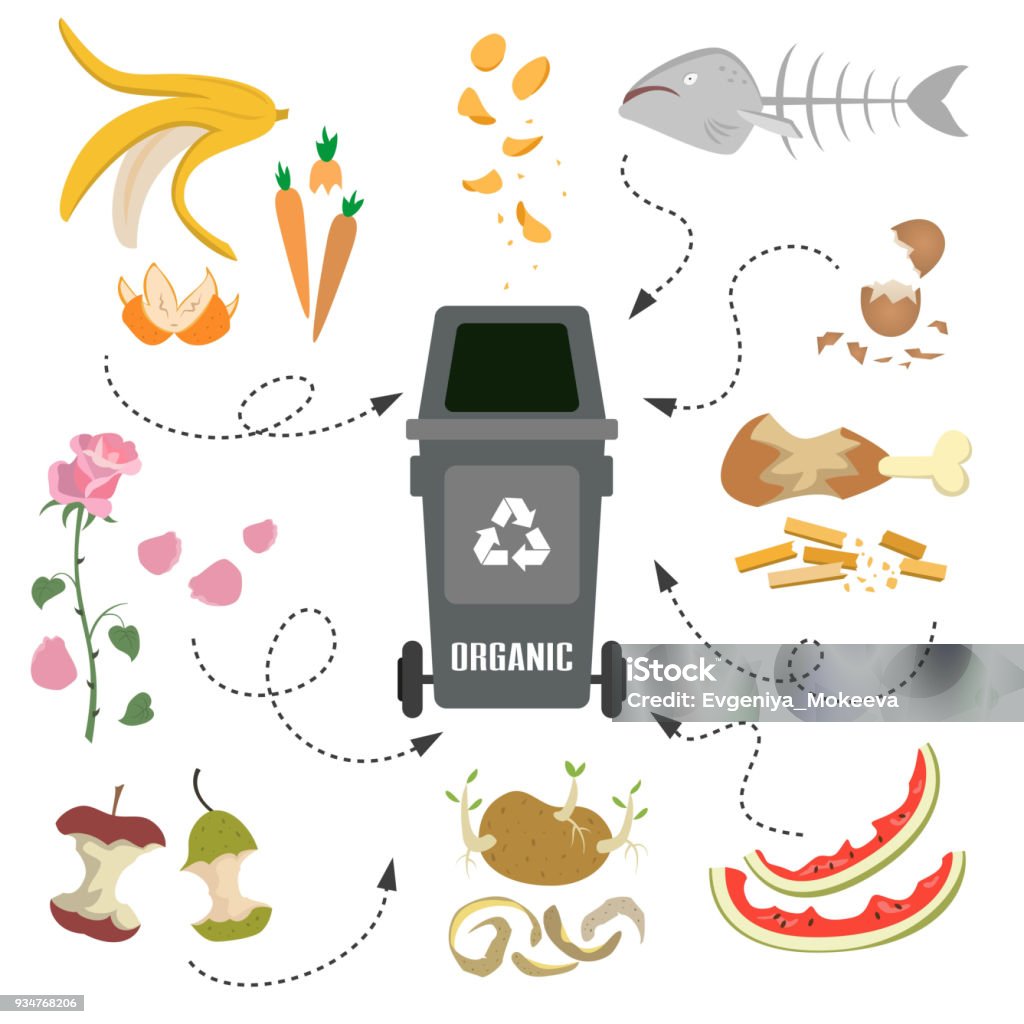 Ilustración de Contenedor Con Basura Orgánica Sobre Fondo Blanco y más Vectores Libres de Derechos de Alimento - Alimento, Basura, Huevo - Comida básica - iStock Ilustración de Contenedor Con Basura Orgánica Sobre Fondo Blanco y más Vectores Libres de Derechos de Alimento - Alimento, Basura, Huevo - Comida básica - iStock
