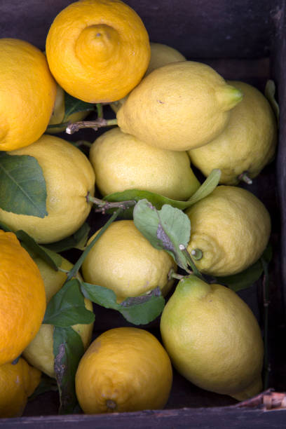 istock Lemons on Market Stall, Palma; Majorca 934769188