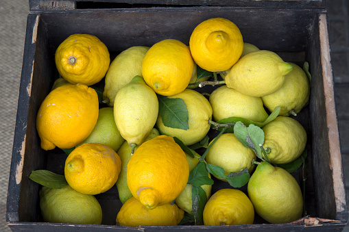 Let your taste buds dance to the tangy tunes of an exquisite selection of citrus fruits at the street market