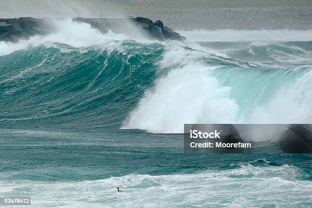 Stürmischen Meer Und Sea Bird At Sumburgh Shetland Stockfoto und mehr Bilder von Brandung - Brandung, Farbbild, Flughafen