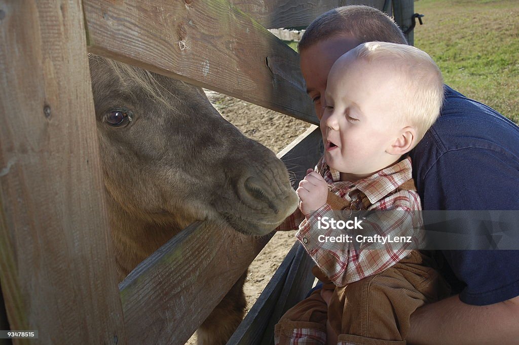 Piccolo ragazzo con Pony - Foto stock royalty-free di Cavallo - Equino