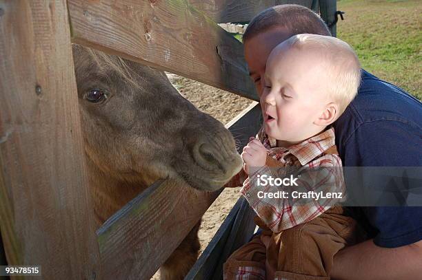 Piccolo Ragazzo Con Pony - Fotografie stock e altre immagini di Cavallo - Equino - Cavallo - Equino, Ambientazione esterna, Autunno