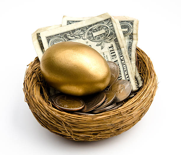 Nest Egg with money stock photo