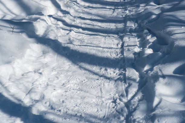 istock Pedestrian pathway in a winter park 934788658