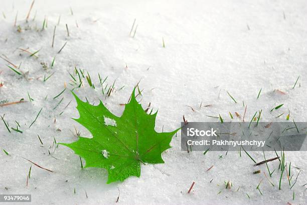 Blatt Auf Schnee Stockfoto und mehr Bilder von Abgestorbene Pflanze - Abgestorbene Pflanze, Abstrakt, Am Rand