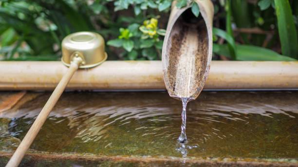 istock Closeup of water dropping from bamboo. 934791566