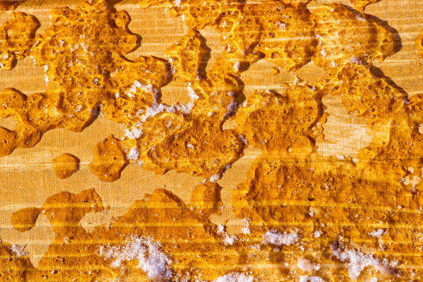 istock Ice and snow covered wooden texture 934791612