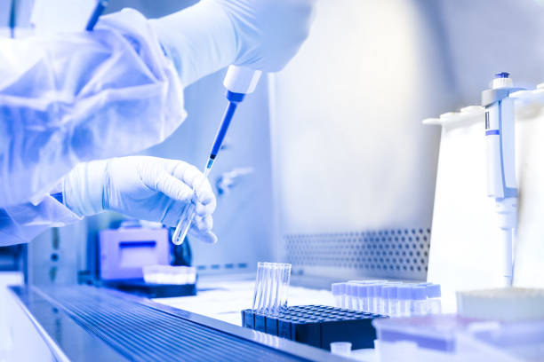 istock The scientist experimented in the CDC laboratory 934795026