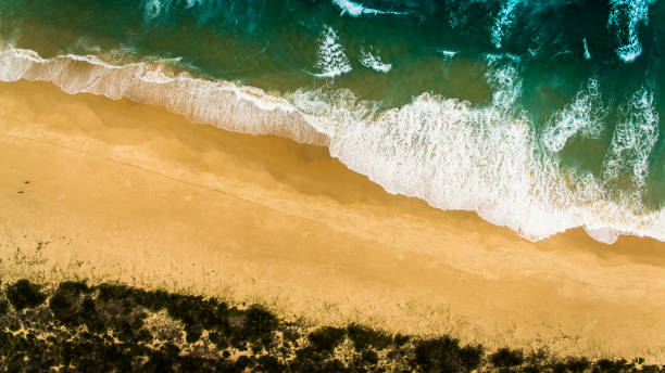 istock Aerial beach of Australia 934796008