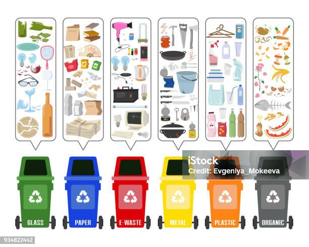 Set Of Colorful Garbage Cans With Sorted Garbage On White Background Ecology And Recycle Concept Vector Illustration Stock Illustration - Download Image Now