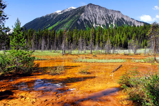 Beautiful multi colored paint pots with spring and pools in Kootenay National Park.The ochre beds were  used by the First Nations and the red ochre was used as paint.