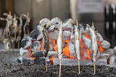 traditionelle-japanische-gegrillter-fisch-essen-hintergrund.jpg?b=1&s=170x170&k=20&c=eLt8ZZJAJYqXMlXV4ghARz9XiVRcgHteXTRXjy7C-l4=
