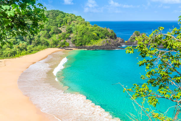 istock Fernando de Noronha, Brazil 934839194
