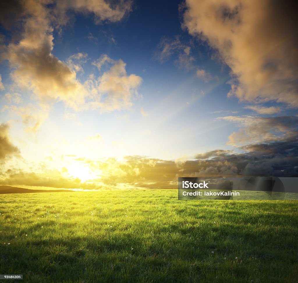 field of spring grass and sunset  Sunset Stock Photo