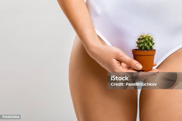 Depilazione Nella Zona Bikini Una Donna Che Tiene Un Cactus In Mano - Fotografie stock e altre immagini di Depilazione