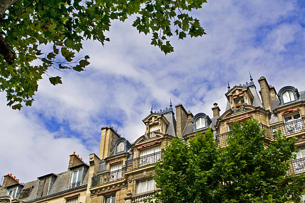 istock Old Paris buildings, France 93485640