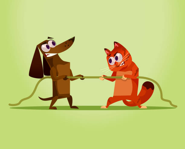 Angry Enemy Domestic Cat Vs Dog Competition War Opposition Concept Stock  Illustration - Download Image Now - iStock