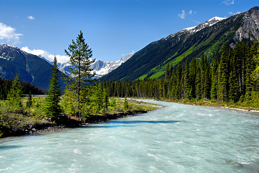 Beautiful river, tributary of the Kootenay River,  flowing through Kootenay National Park.