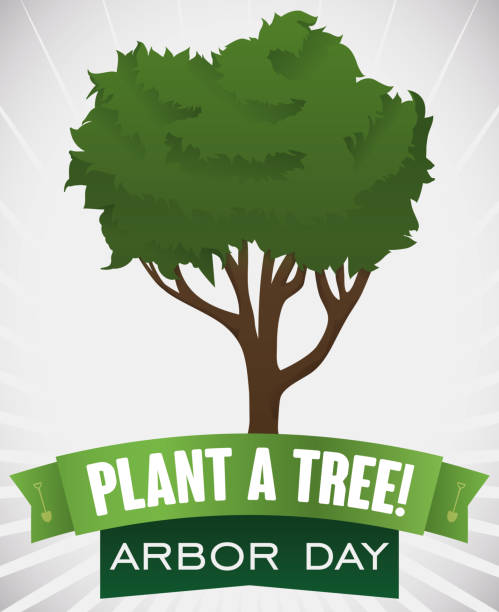 Young Tree Growing up behind a Ribbon for Arbor Day Poster with young tree growing up in Arbor Day and some ribbons with shovels silhouettes and greetings message promoting the tree-planting. Arbor Day stock illustrations