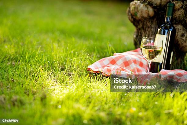 Photo libre de droit de Vino banque d'images et plus d'images libres de droit de Alcool - Alcool, Bouteille, Herbe