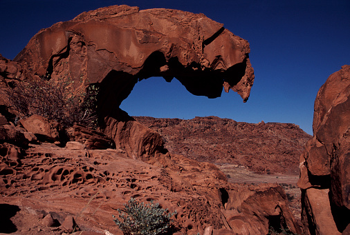 New Mexico has some of the flattest land as well as some of the most rugged mountains in the country. Some portions of the state are rich in pine forests, meadows, and fish-laden mountain streams, while other areas are devoid of any water bodies, and even cacti struggle to survive.