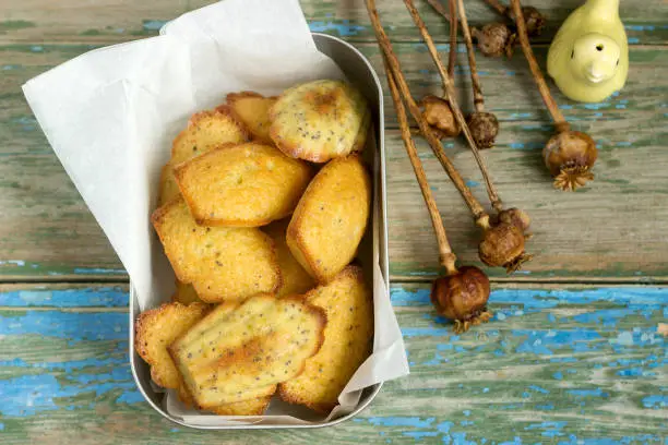 Homemade Madeleine cookies with poppy seeds and lemon zest. Selective focus.