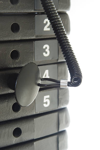 Exercise Weights (1) stock photo